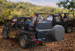 bandhavgarh news