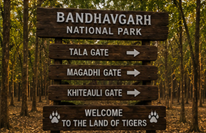 safari-zones